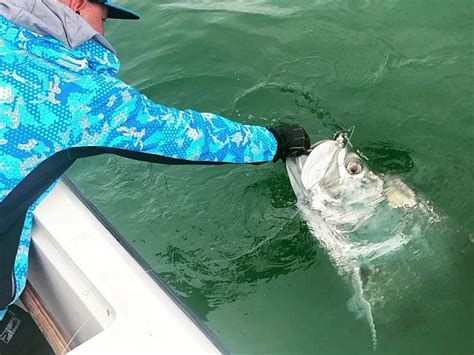 6 Hour Florida Inshore Fishing Outguided