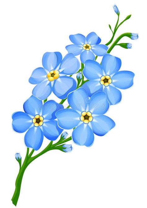 Branch Of Blue Forget Me Not Flowers Isolated Vector Illustration