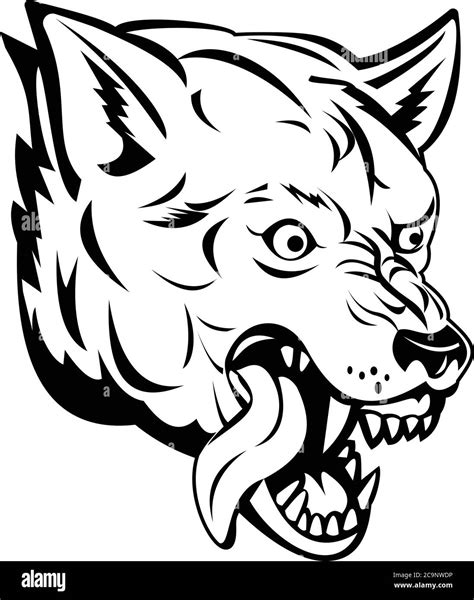 Sports Mascot Illustration Of Head Of An Aggressive And Angry Wolf
