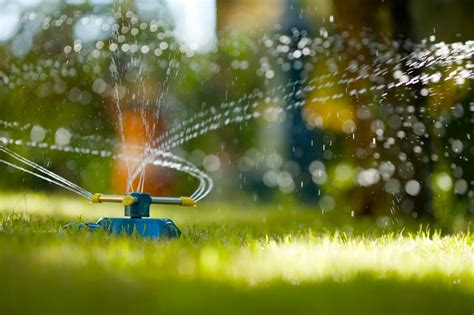 The Best Time To Water Grass How Often To Water The Lawn Bob Vila