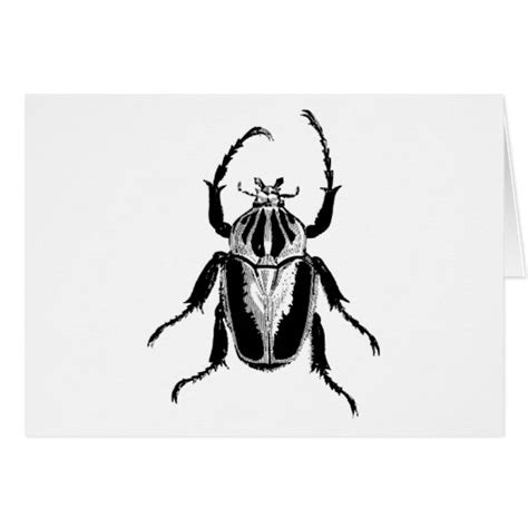 Beetle Insect Bug Vintage Wood Engraving Card Zazzle