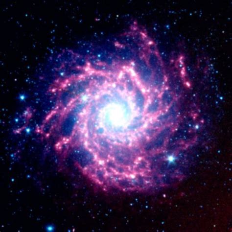 Real Supernova Supernova Dust Factory In M74 Image Credit Nasajpl