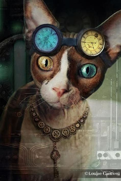 78 Best Images About Steampunk Cats On Pinterest