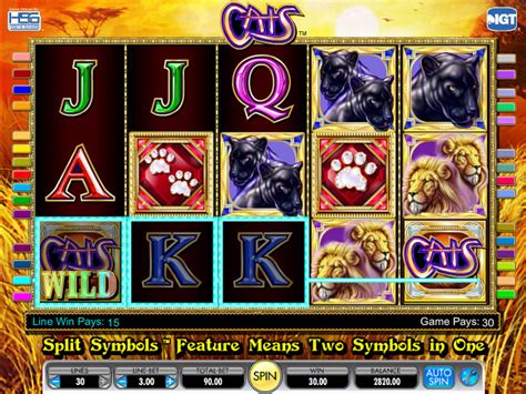 Cats Slot Machine Online Free Play