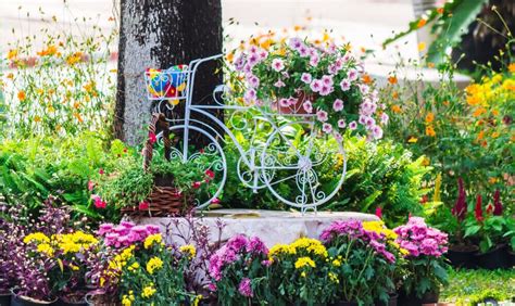 There are a variety of species of roses , but all can produce showy flowers. 24 Different Types of Gardens for Your Yard and Home ...