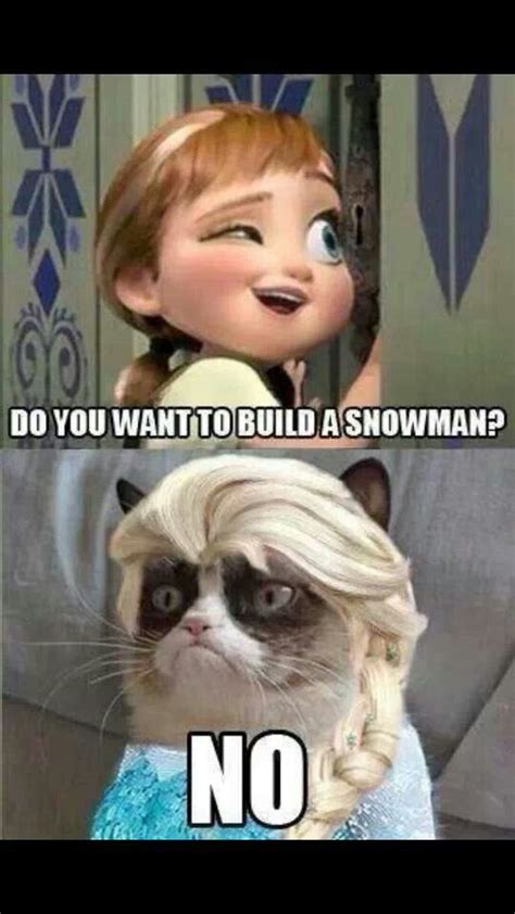 Frozen Cat Meme Quotes Viral