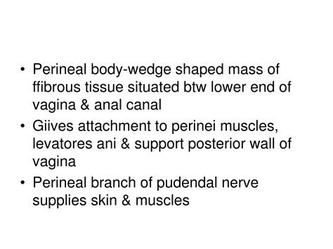 Ppt Anatomy Of The Female Perineum And Perineal Pouches Powerpoint