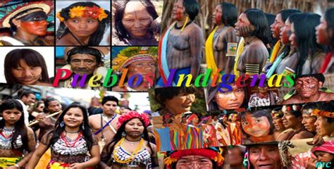 Pueblos Y Nacionalidades Indigenas Del Ecu Mind Map My XXX Hot Girl