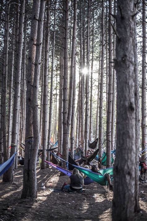 Electric Forest Camping