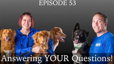 Answering Your Dog Training Questions Dog Training Podcast Youtube