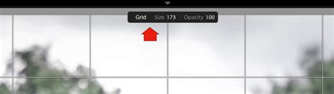 Five Hidden Features Of The Lightroom Loupe View