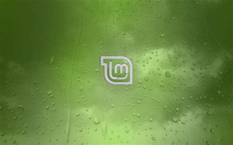 49 Linux Mint Wallpapers