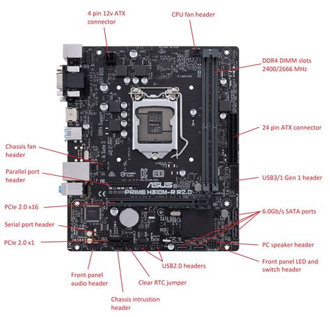 Boamot 499 Stone Asus H310m R R20 Motherboard Specification