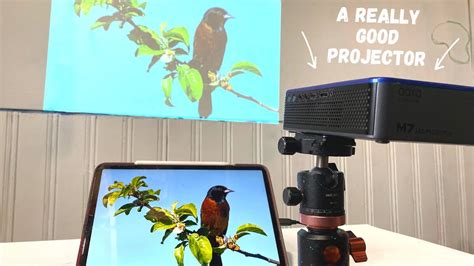 The Best Projector For Painting Murals And Street Art Youtube