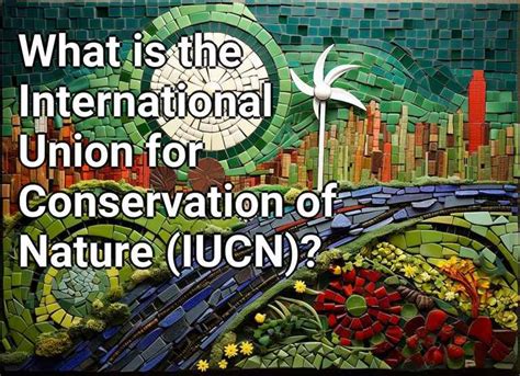 What Is The International Union For Conservation Of Nature Iucn