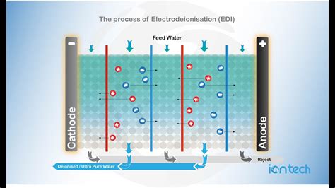 The Process Of Electro Deionisation Edi Iontech Animated Youtube