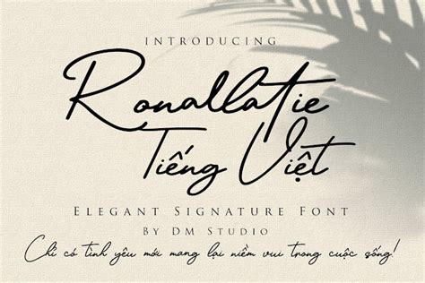 Việt Hóa Font Ronallatie