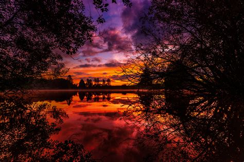 Silhouette Of Trees Sunset Autumn River Hd Wallpaper Wallpaper Flare