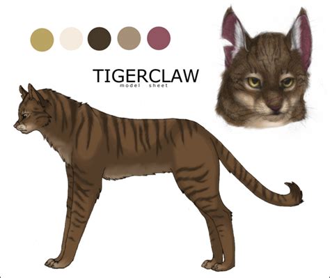 Tigerclaw Make Your Own Warrior Cat Fan Art 24783341 Fanpop