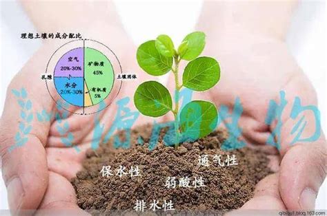 要使土壤保持长久的有机肥力，用什么方法好呢？作物种植有机物