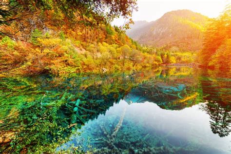 Scenic View Of The Five Flower Lake Among Amazing Fall Woods Stock