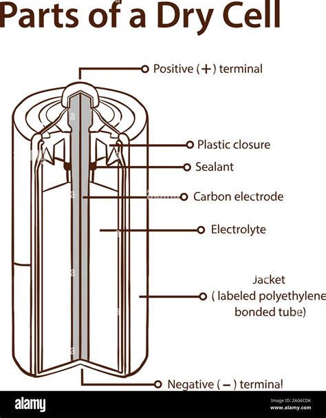 Parts Of A Dry Cell Battery Stock Illustration Battery Inside Of