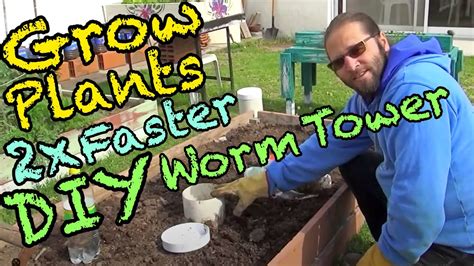 Make Your Vegetables And Plants Grow Two Times Faster Diy Worm Tower