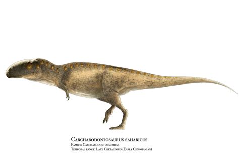 Carcharodontosaurus By Prehistorybyliam On Deviantart Megafauna