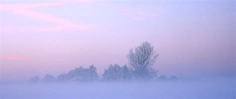 Misty Winter By Harriewaggon On Deviantart