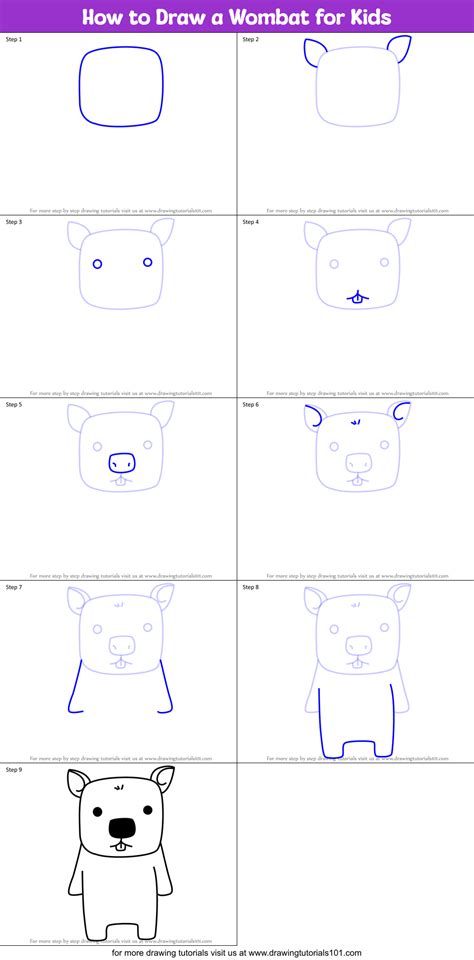 How To Draw A Wombat For Kids Printable Step By Step Drawing Sheet
