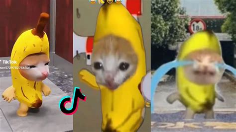 Happy Cat Meme Tiktok Compilation 1 Youtube