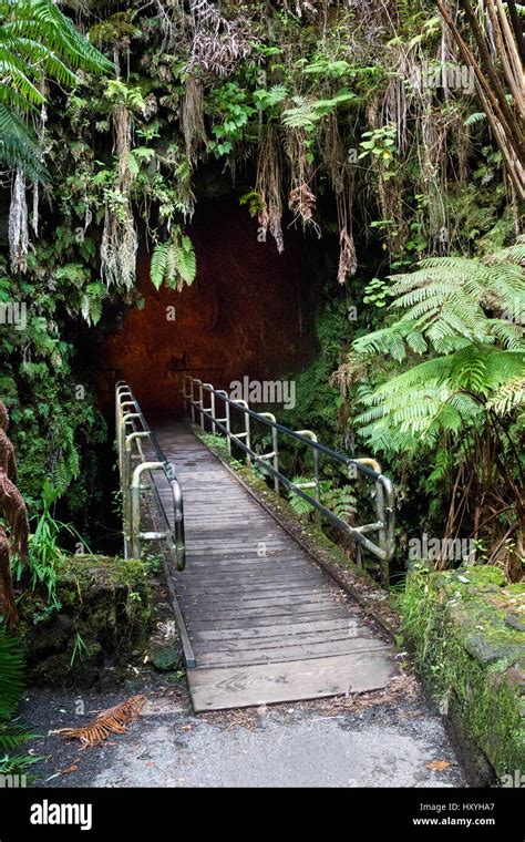 Entrance To The Thurston Lava Tube In The Hawaii Volcanoes National