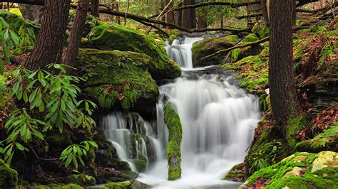 Waterfall Creek Forest Pennsylvania Travel Scenery Hd Wallpaper Preview
