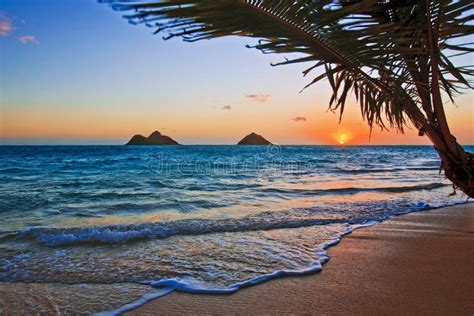 Pacific Sunrise At Lanikai Beach In Hawaii Stock Photo Image Of