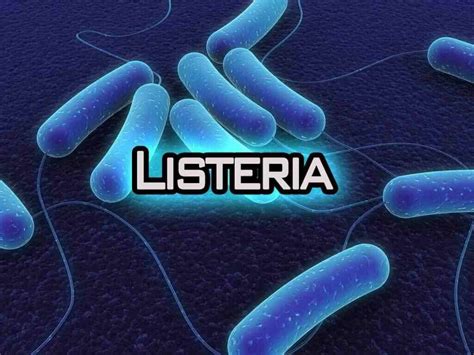 Listeria Listeria Symptoms