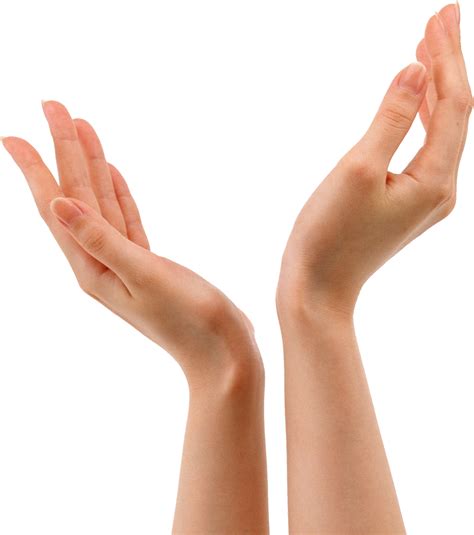 Hands PNG 8 | PNG All
