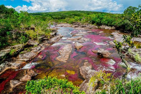Check spelling or type a new query. A Guide to Caño Cristales - Colombia | The Endless Adventures