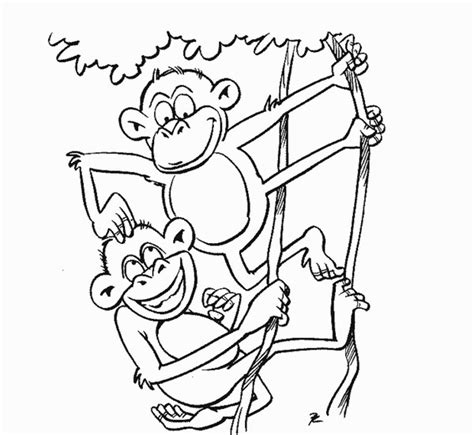 Coloring Pages Of Zoo Animals Best Coloring Pages Collections