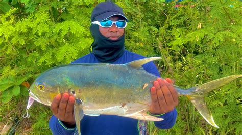 Pesca De Jurel Cola Amarilla 🐟 San Pedro De Macorís Youtube