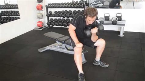 seated consentration curl biceps youtube