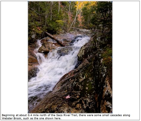 1happyhiker A Bushwhack Along Webster Brook In Crawford Notch Nh