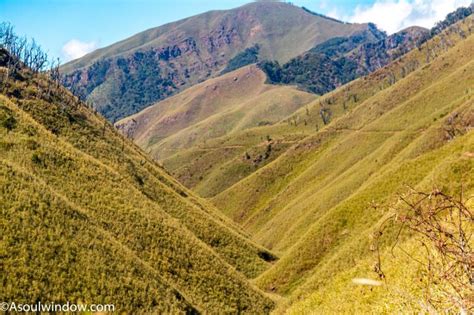 Dzukou Valley Trek In Nagaland Complete Guide A Soul Window