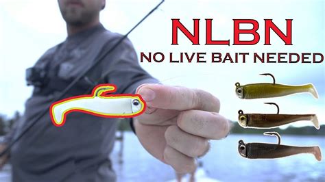 So Many Snook Fishing With Only Nlbn No Live Bait Needed Youtube