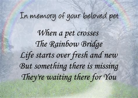 This beautiful poem is a comforting message for anyone suffering the loss of a beloved pet. Rainbow Bridge pet loss sympathy | New pet loss sympathy ...