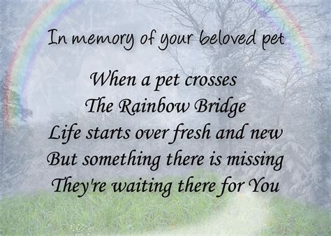 None of the hallmark card stores carry this she often come over and play with my dog. Rainbow Bridge pet loss sympathy | New pet loss sympathy ...