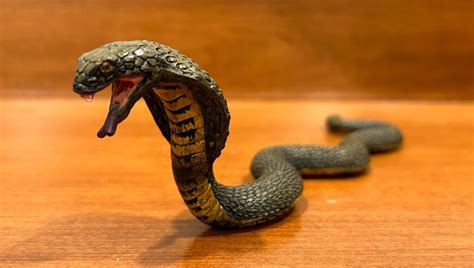 King Cobra Wildlife By Collecta Animal Toy Blog