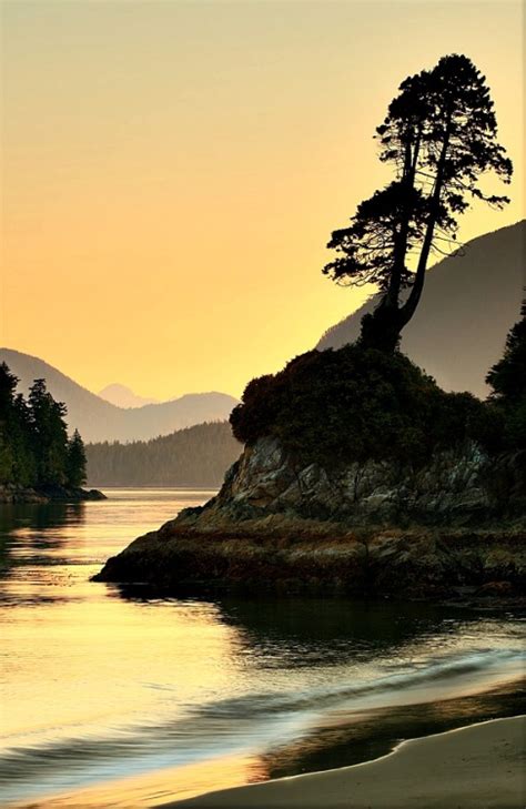 Popular Tree Landscape Water Beach Sunset Canada Bc