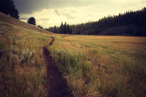 Free Images Landscape Tree Nature Forest Path Horizon