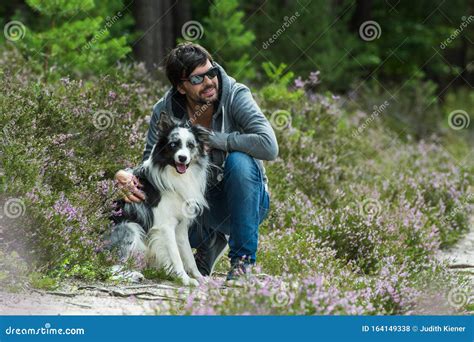 Border Collie With His Owner In Heather Flowers Stock Photo Image Of