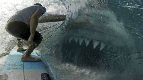 world s biggest sharks are still in the ocean megalodons world s biggest shark ever